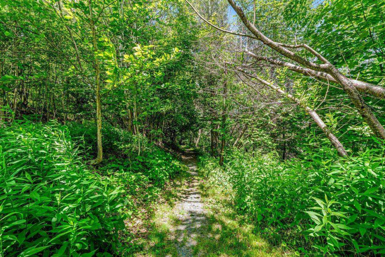 Skyleaf Retreat Διαμέρισμα Sugar Mountain Εξωτερικό φωτογραφία
